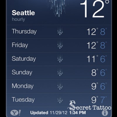 wet Seattle